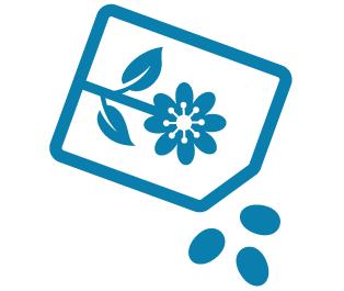 Professionelle Einpflanzungen